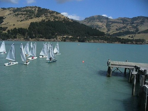 Starting right by the jetty - 2010 Europe Class New Zealand Championships © Antje Muller